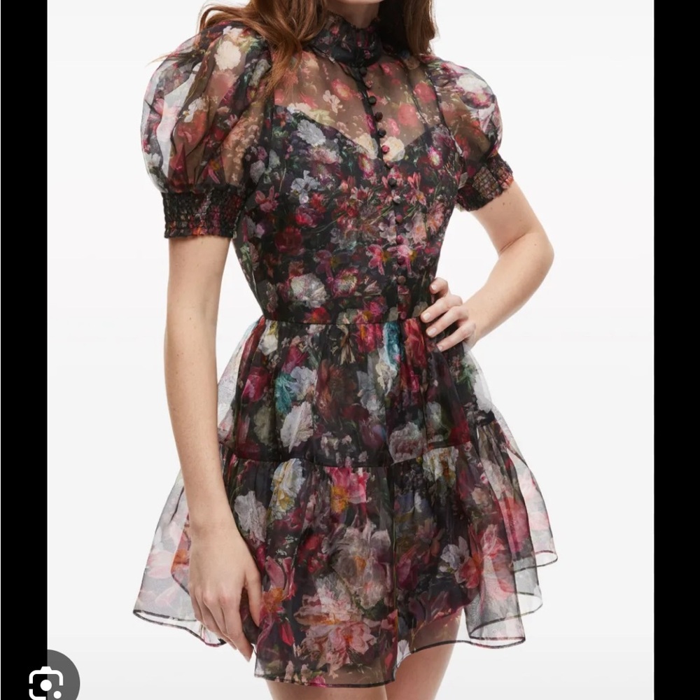 Alice + Olivia vernita black and pink floral mini dress